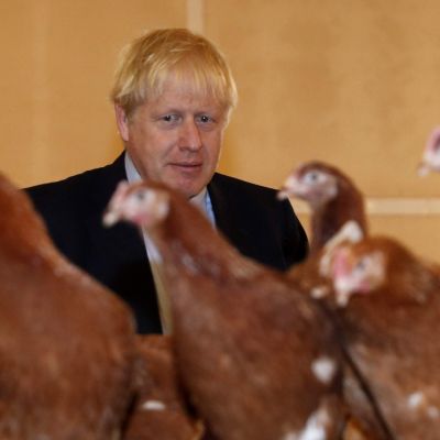 BorisChicken