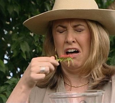 Dorries