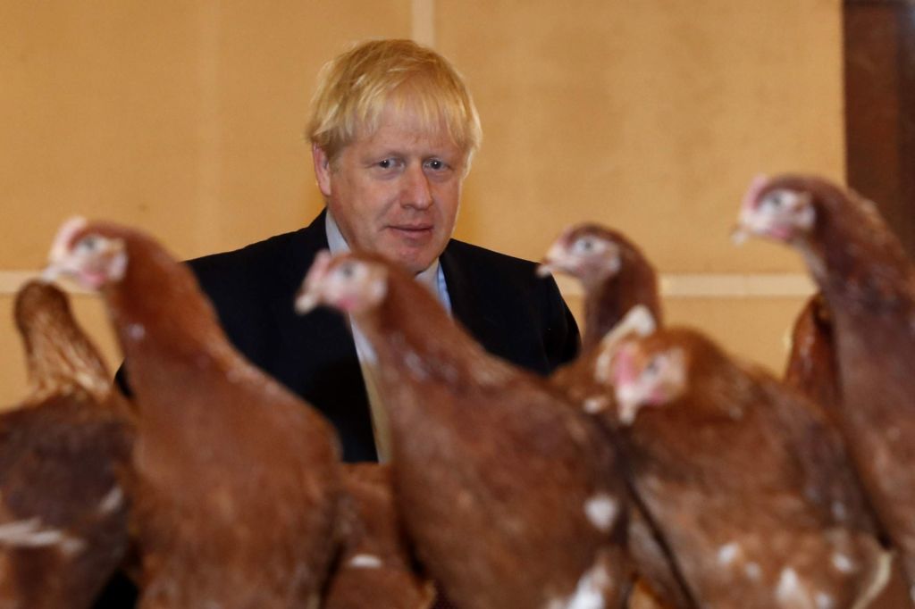 A Game of Christmas Chicken